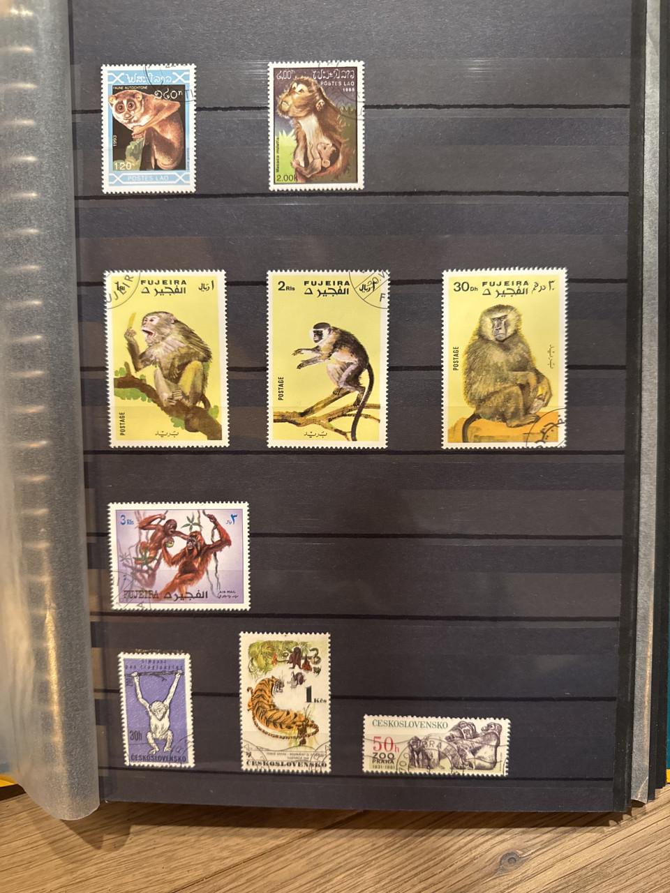 Complete postzegelverzameling – 4 albums – Wereldwijd & thematisch