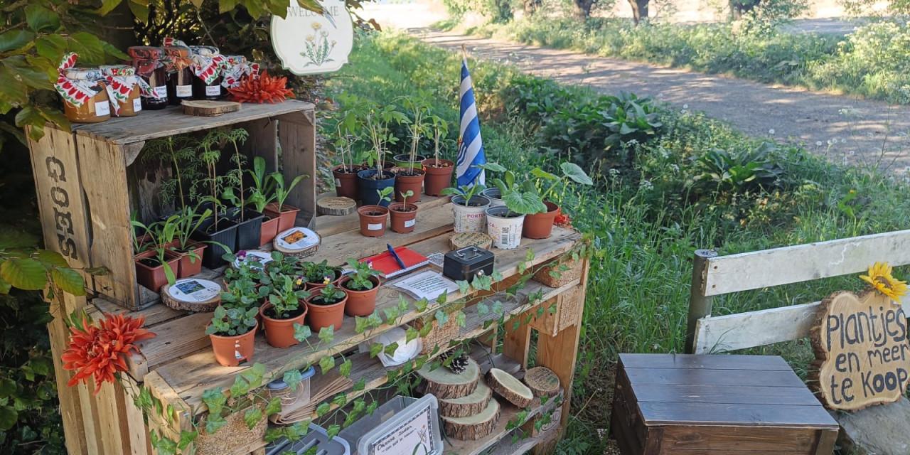 🐴🌿 Biologische paard vriendelijke plantjes 🌿🐴
