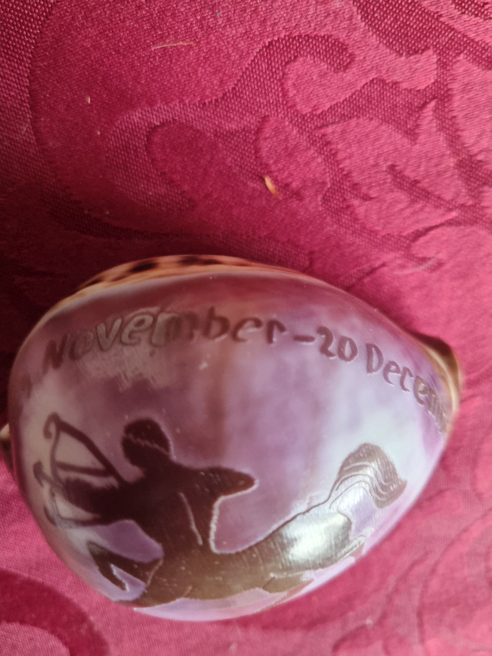 Leuke schelp voor boogschutter 8cm