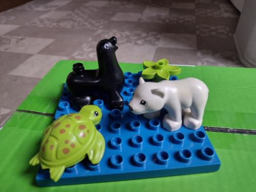 Duplo