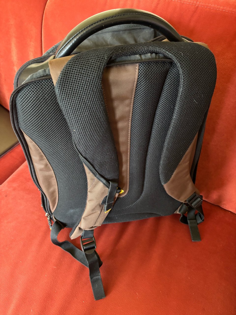Samsonite rugtas