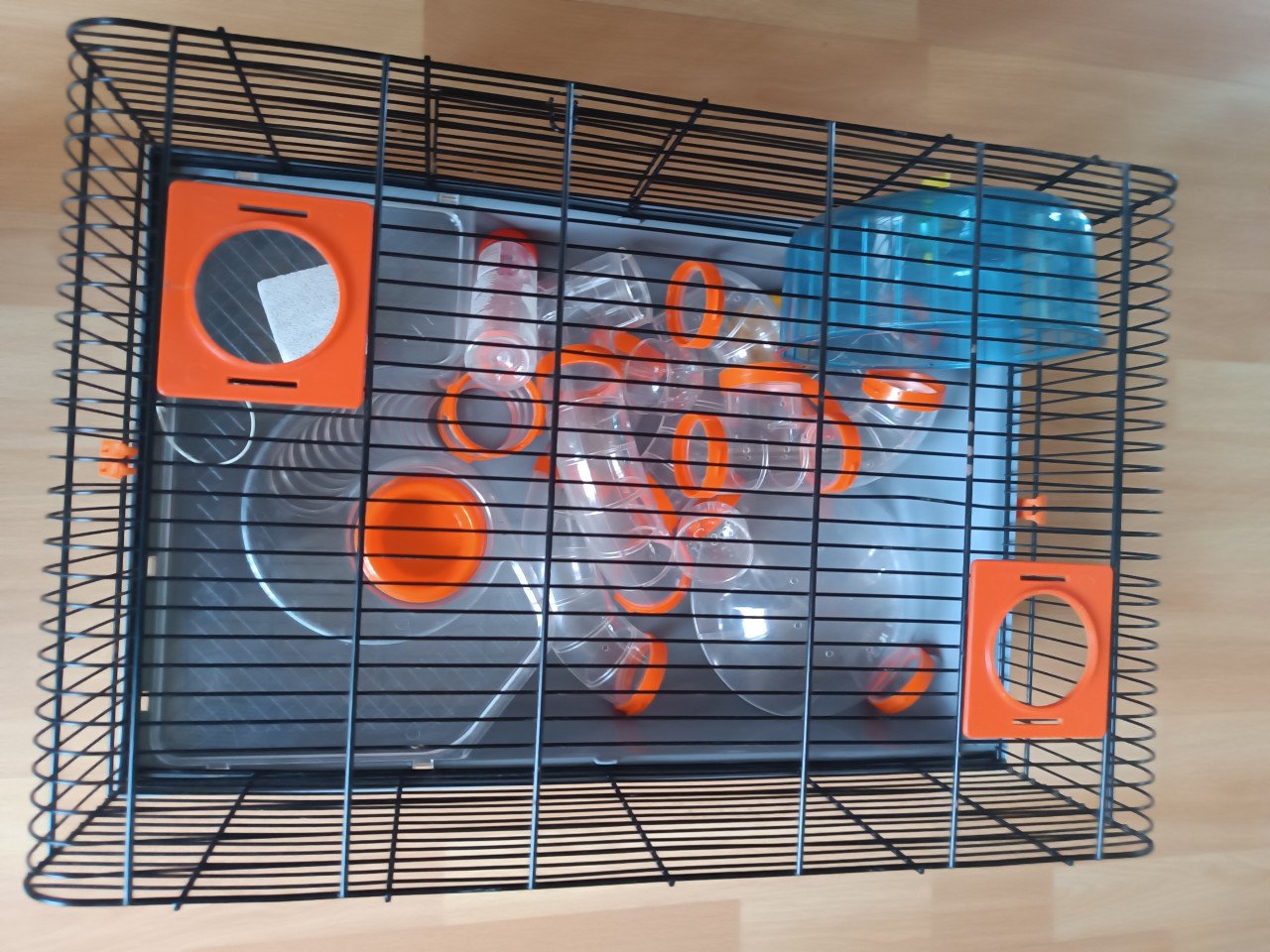 Hamsterkooi