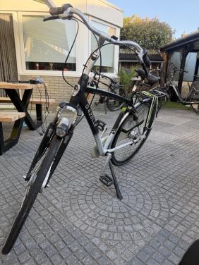 Mooie gazelle chamonix plus
