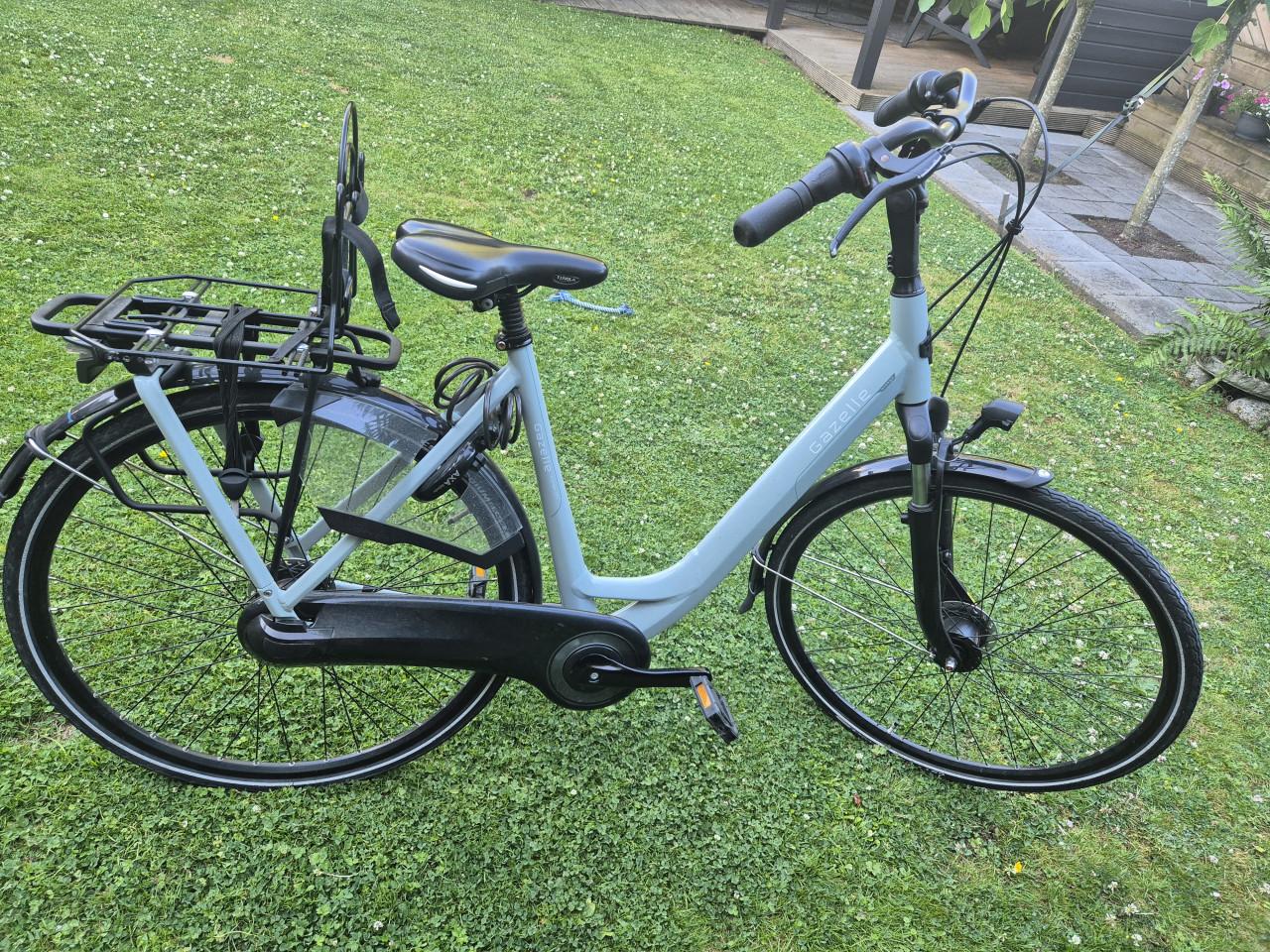 Gazelle orange c7+