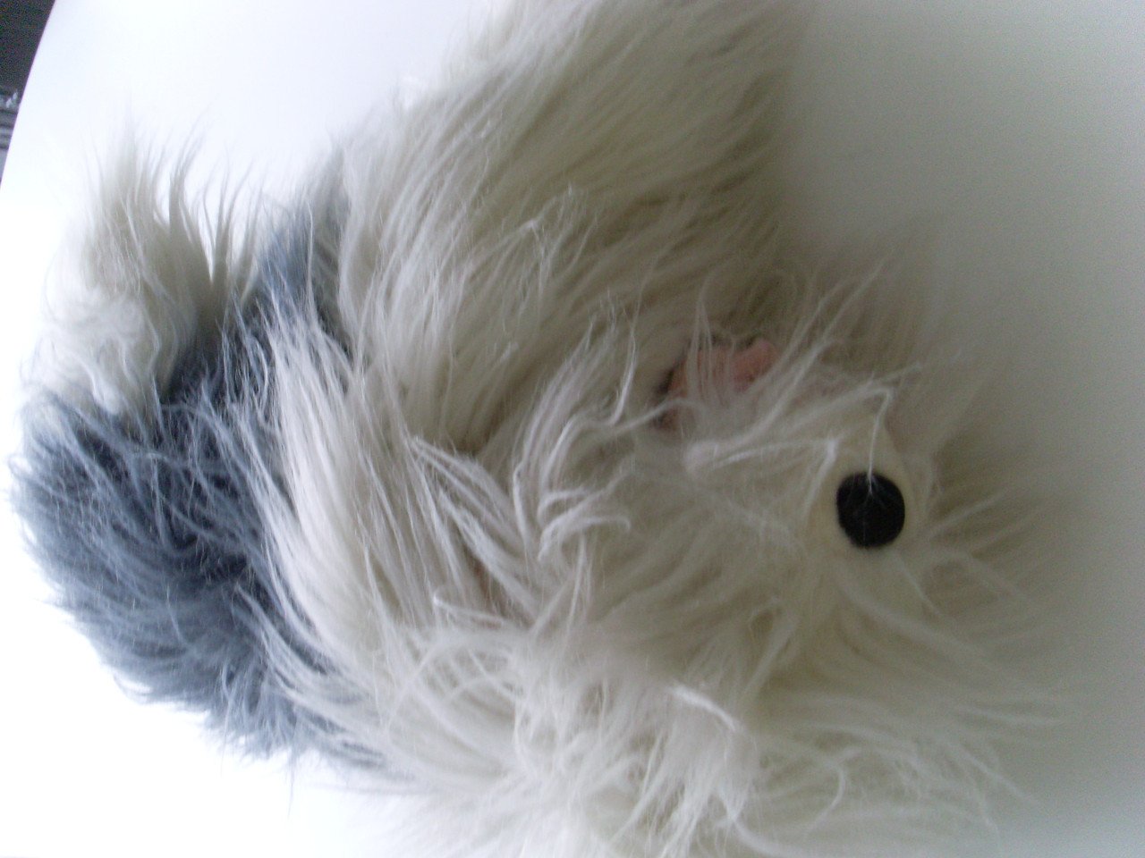 Samson knuffelhond Nicoly 45 cm