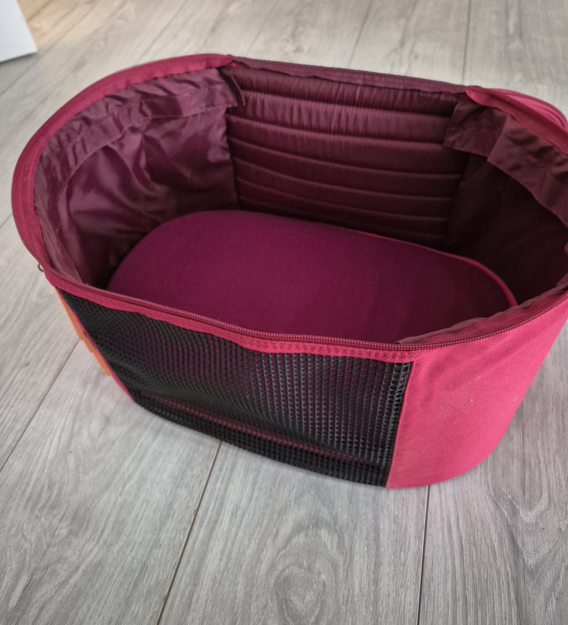 Reismand kat of kleine hond