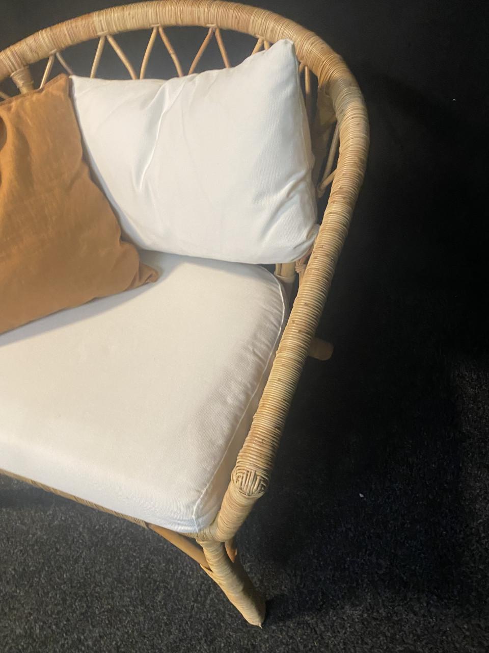 Leuke grote stoel (riet/rotan) incl kussens