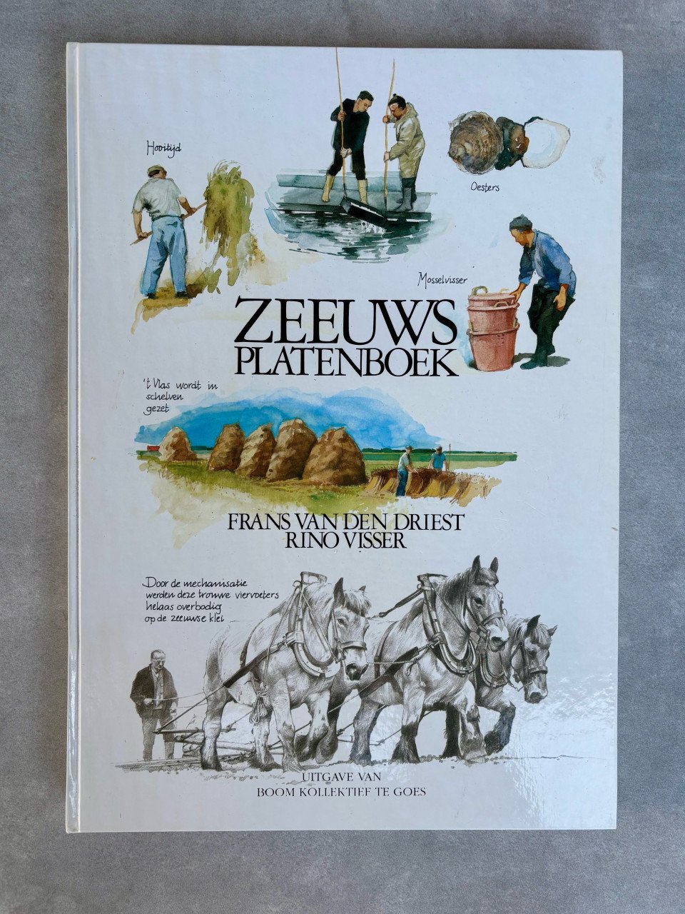 Diverse Verkade plaatjesboeken en meer. Zie foto’s