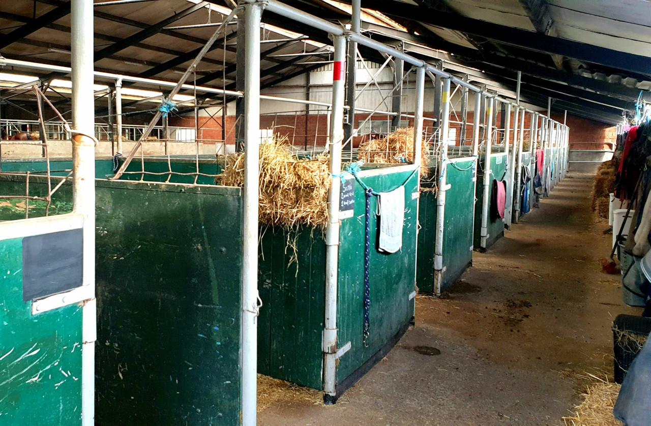 Paardenstalling beschikbaar
