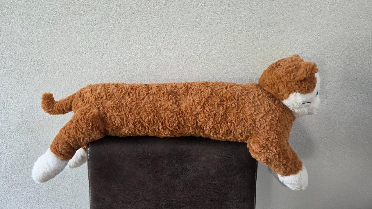 🥰 Heeeeeeeeeele lange Bedknuffel Kat (HEMA).