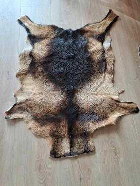 Vacht van een geitje