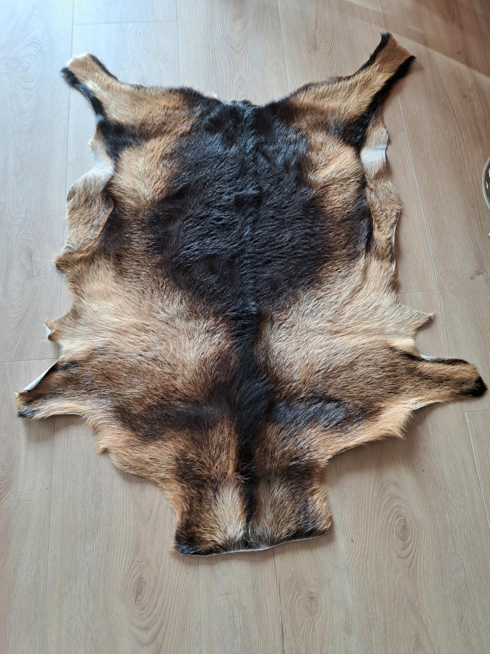 Vacht van een geitje