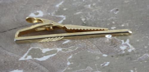 Goudkleurige dasspeld met steentje