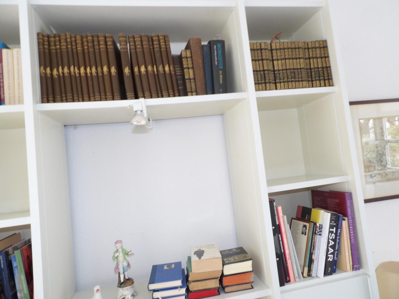 Partij (antieke) boeken