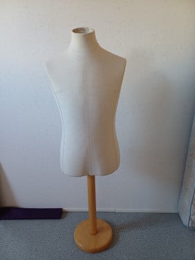 Torso