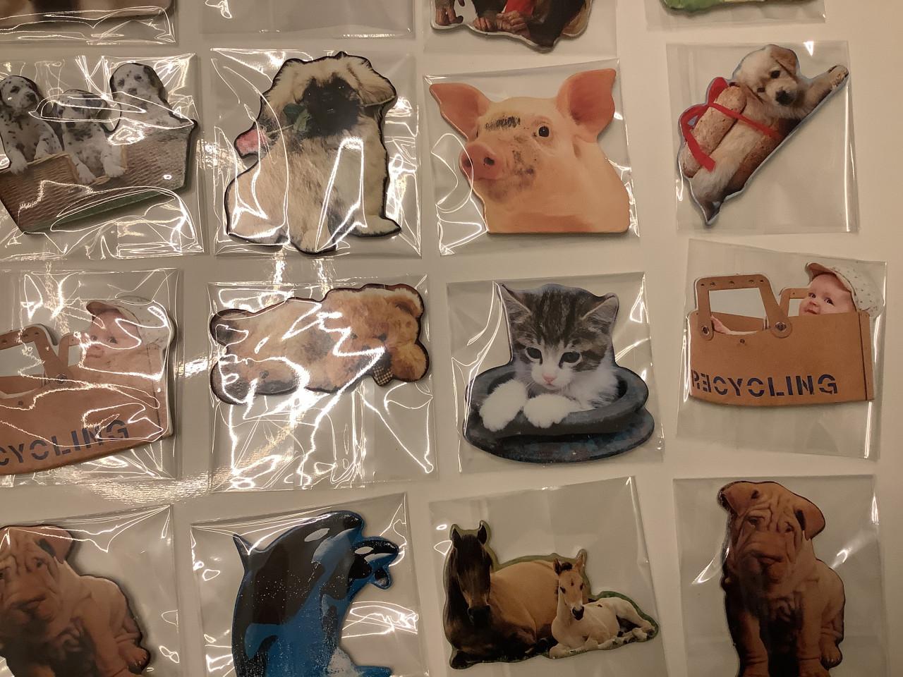 Partij super leuke magneetjes. ( partij 22)