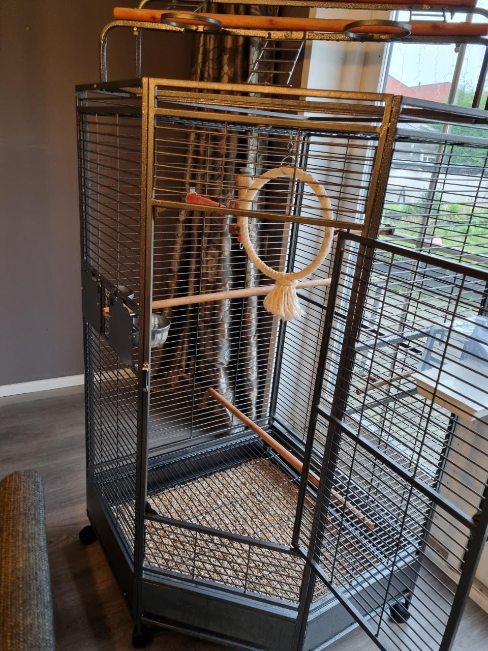 Papegaaien kooi hoek