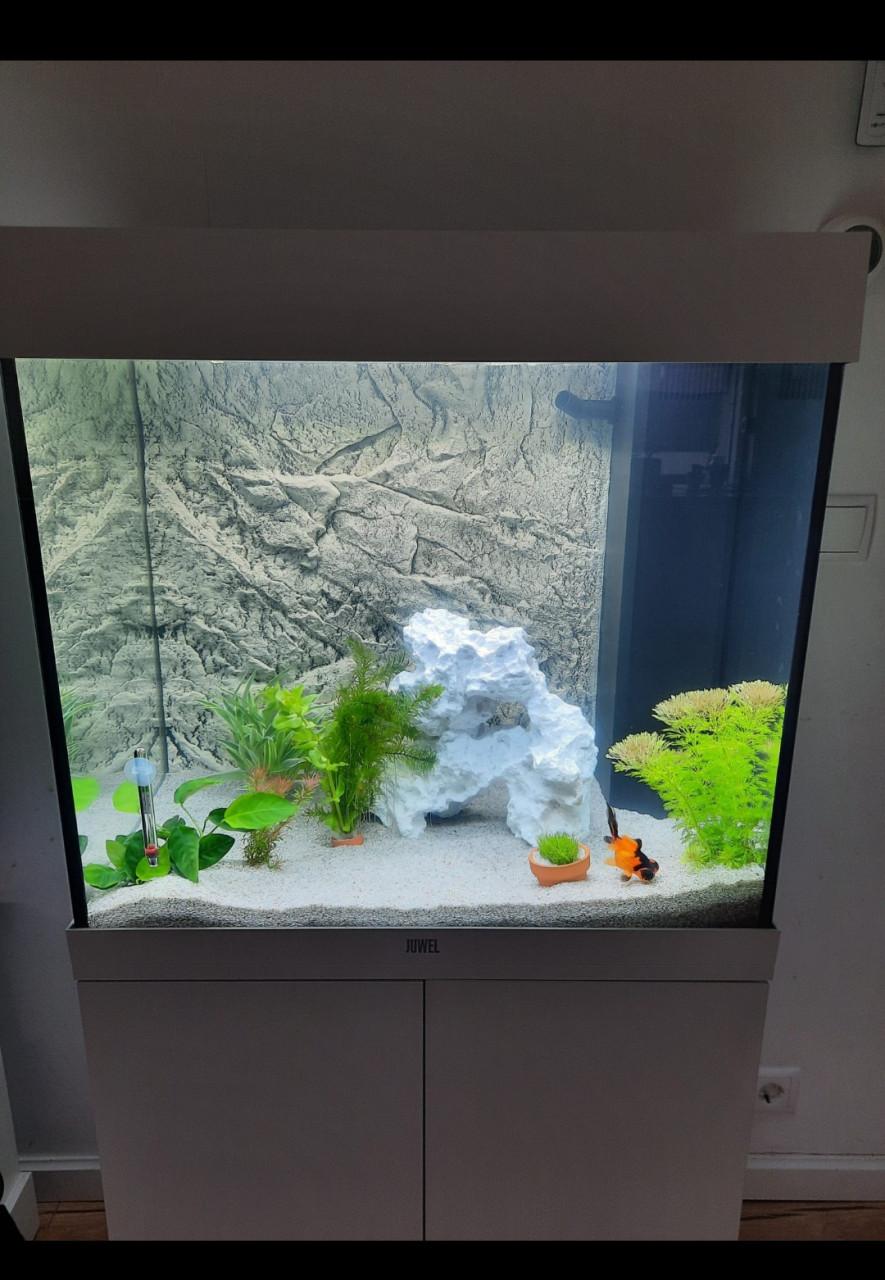 Juwel aquarium lido 120 wit