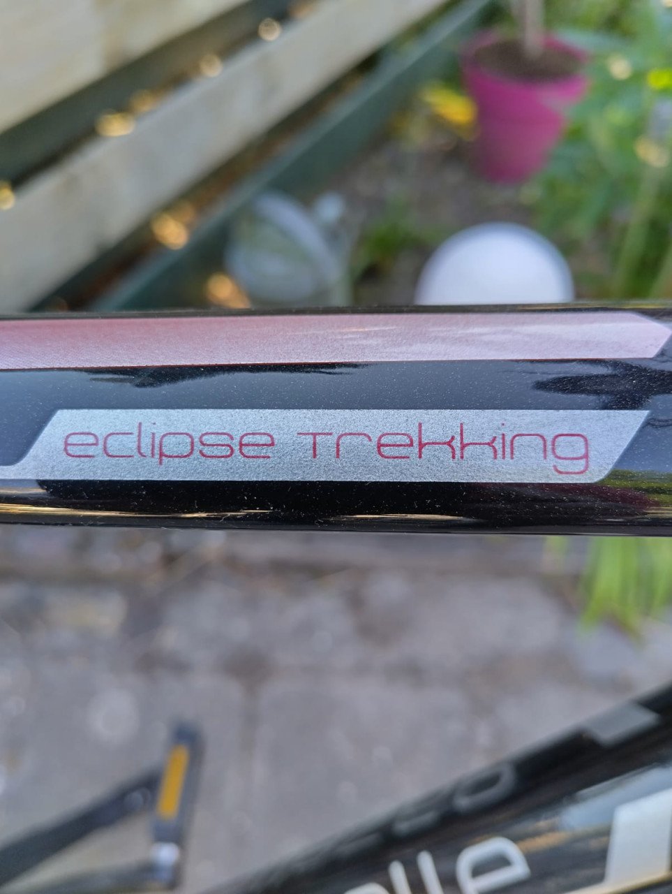 Zeer nette gazelle eclipse trekking