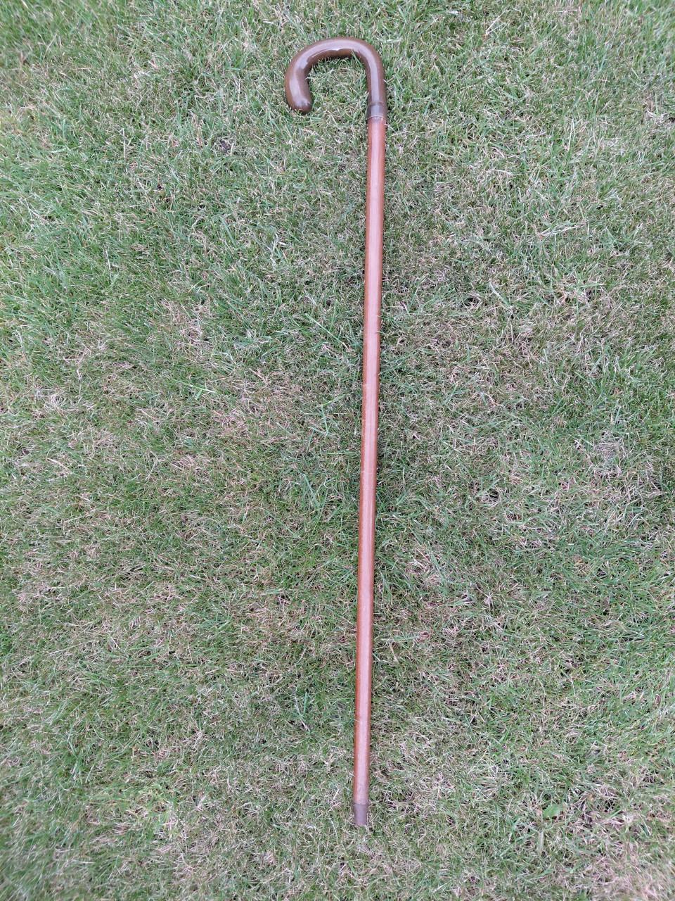 Wandelstok