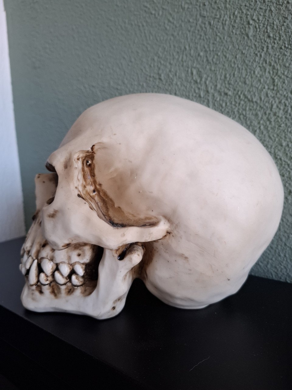 Skull
