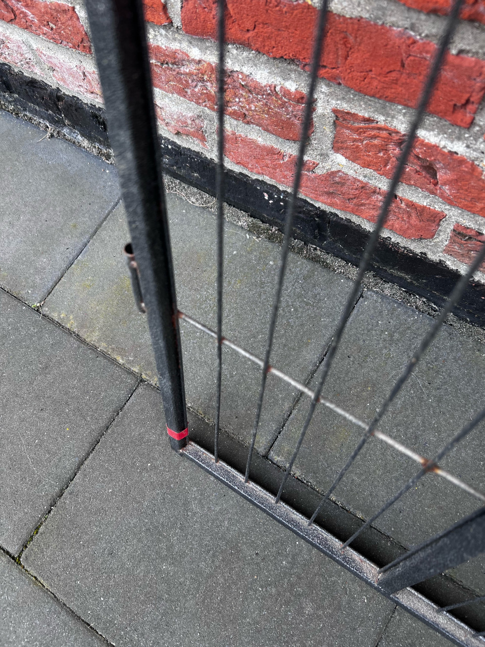 Puppyren 80 cm hoog