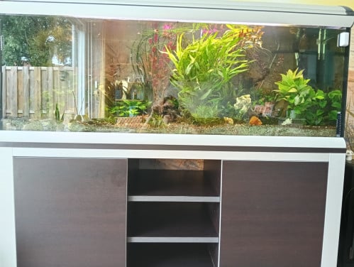 Aquarium