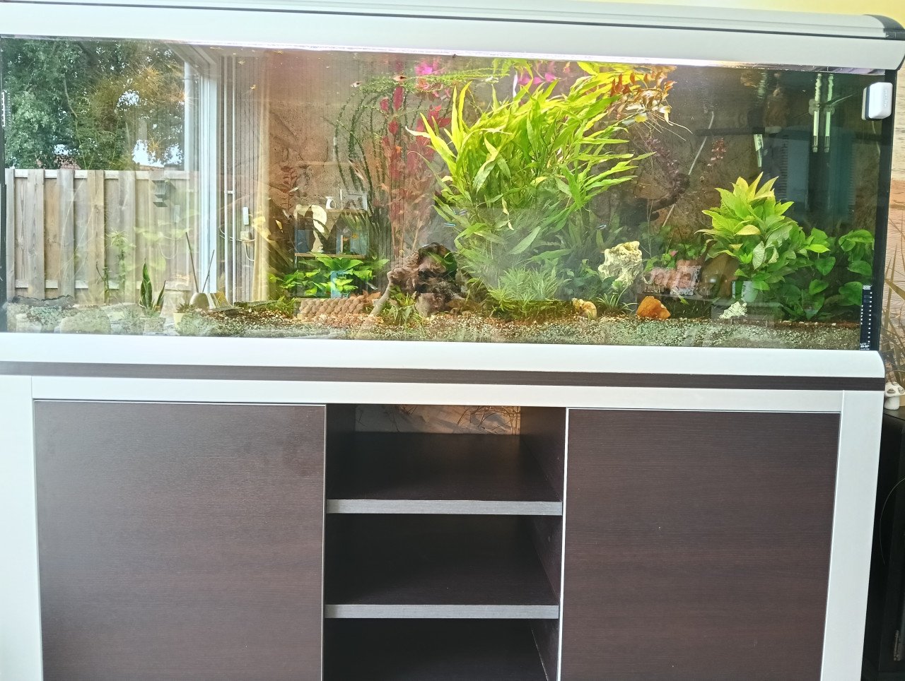 Aquarium