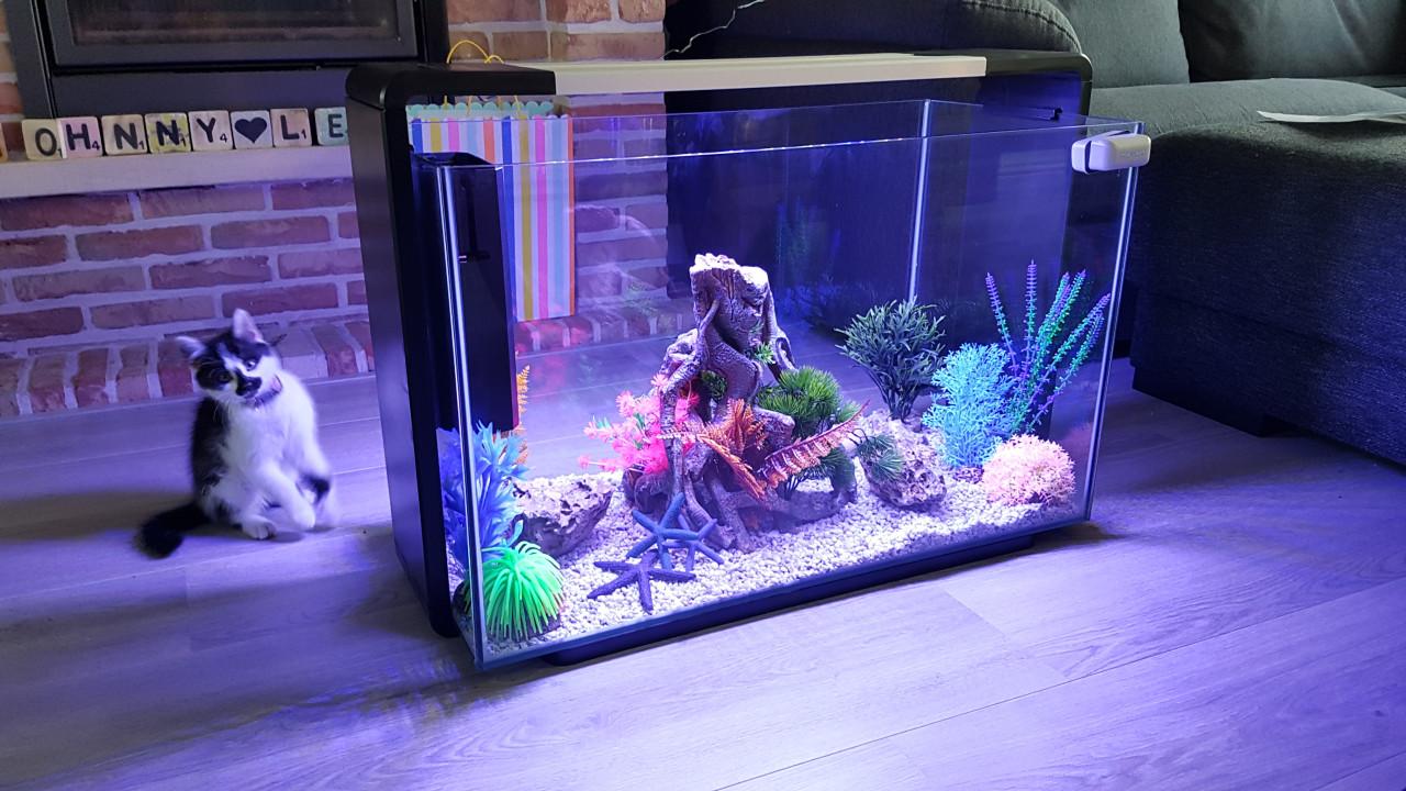 Superfish Home 110 Aquarium Black Inclusief Alle Toebehoren Te Koop