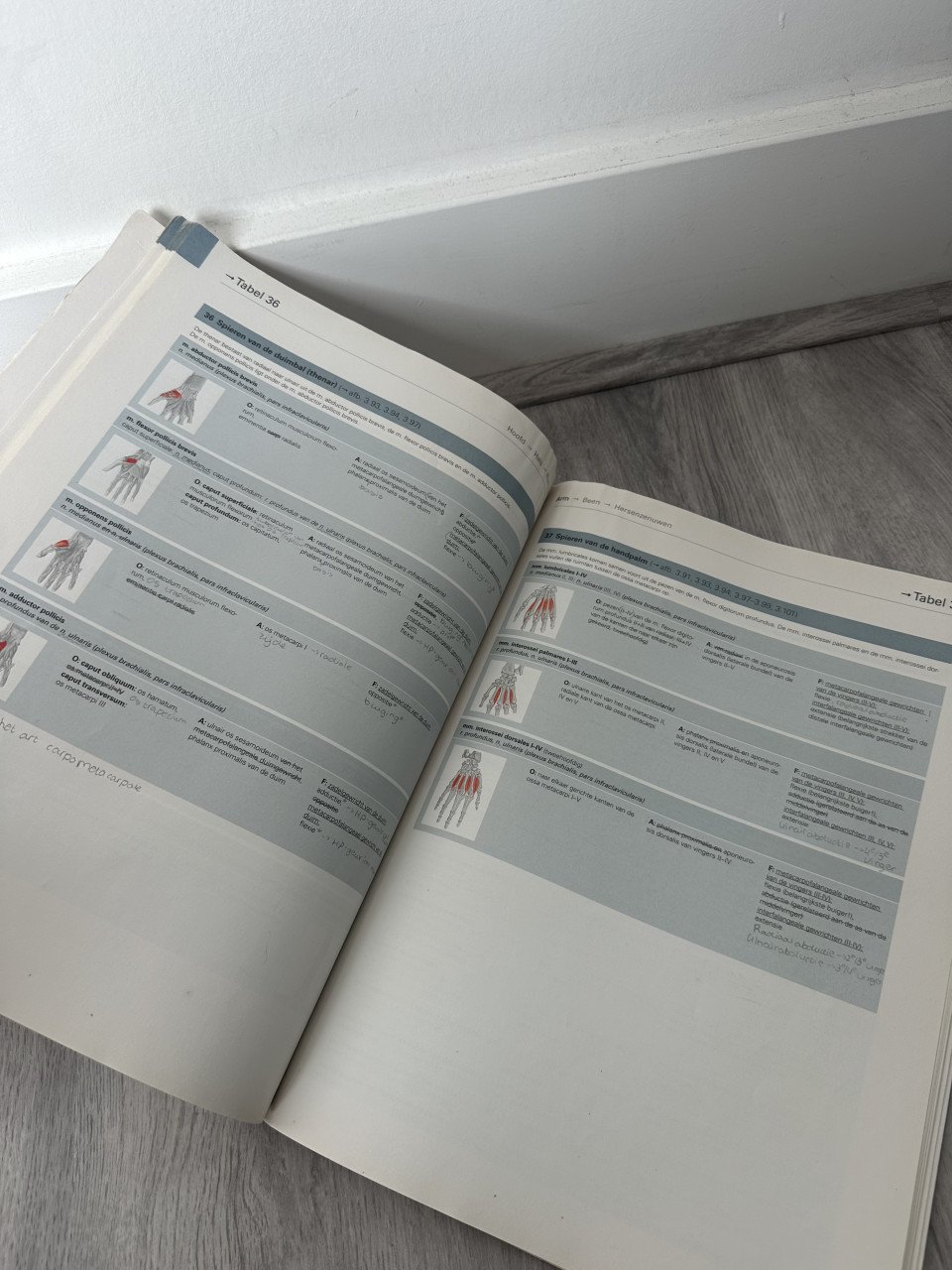 Sobotta - Atlas van de menselijke anatomie - Bohn Stafley van Loghum