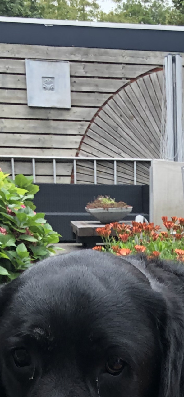 Houten waaier decoratie