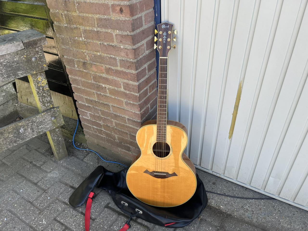 Gitaar Cort NTL 50 met hoes