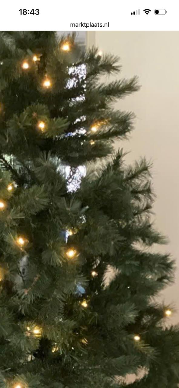 Kerstboom met verlichting Intratuin