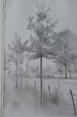 9 x Hendrik Voskuijl (1893 - 1980) potloodtek. bomen (2) o.a. Ommen