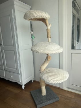 Klimpaal kat