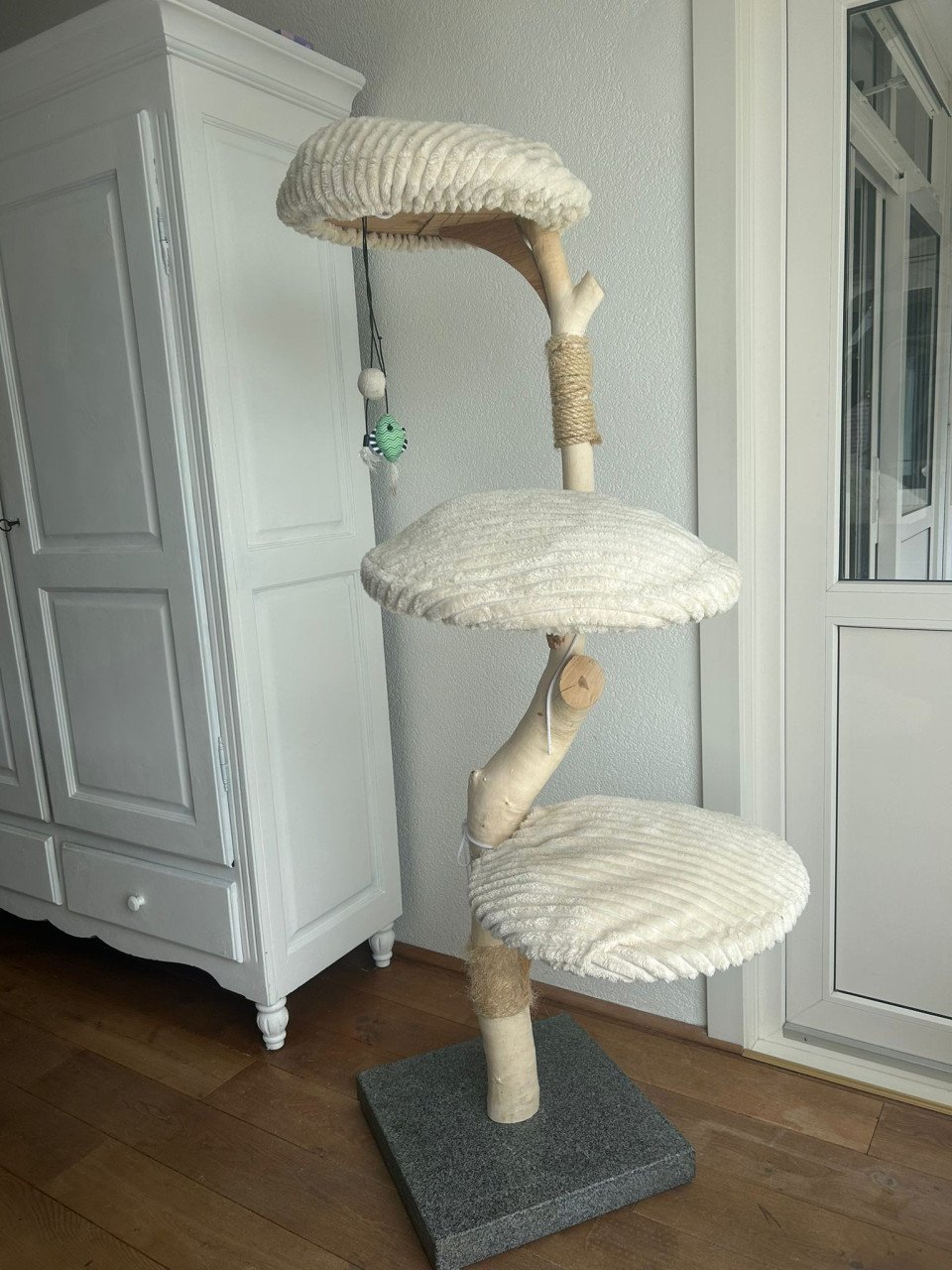 Klimpaal kat