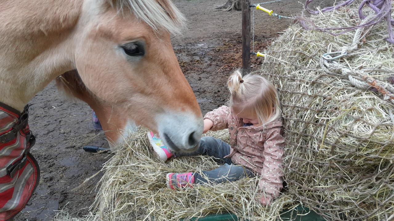 Fjorden ruin te koop