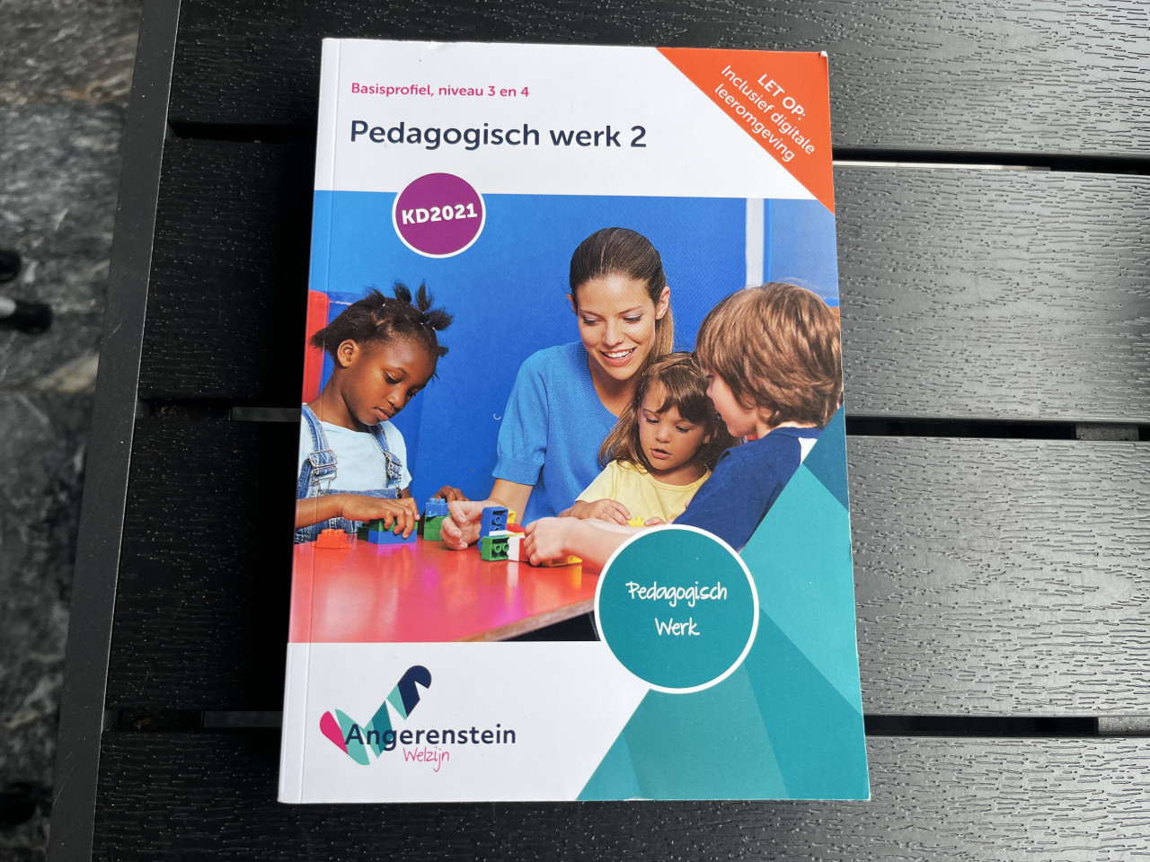 5 Schoolboeken Pedagogisch werk Angerenstein Welzijn
