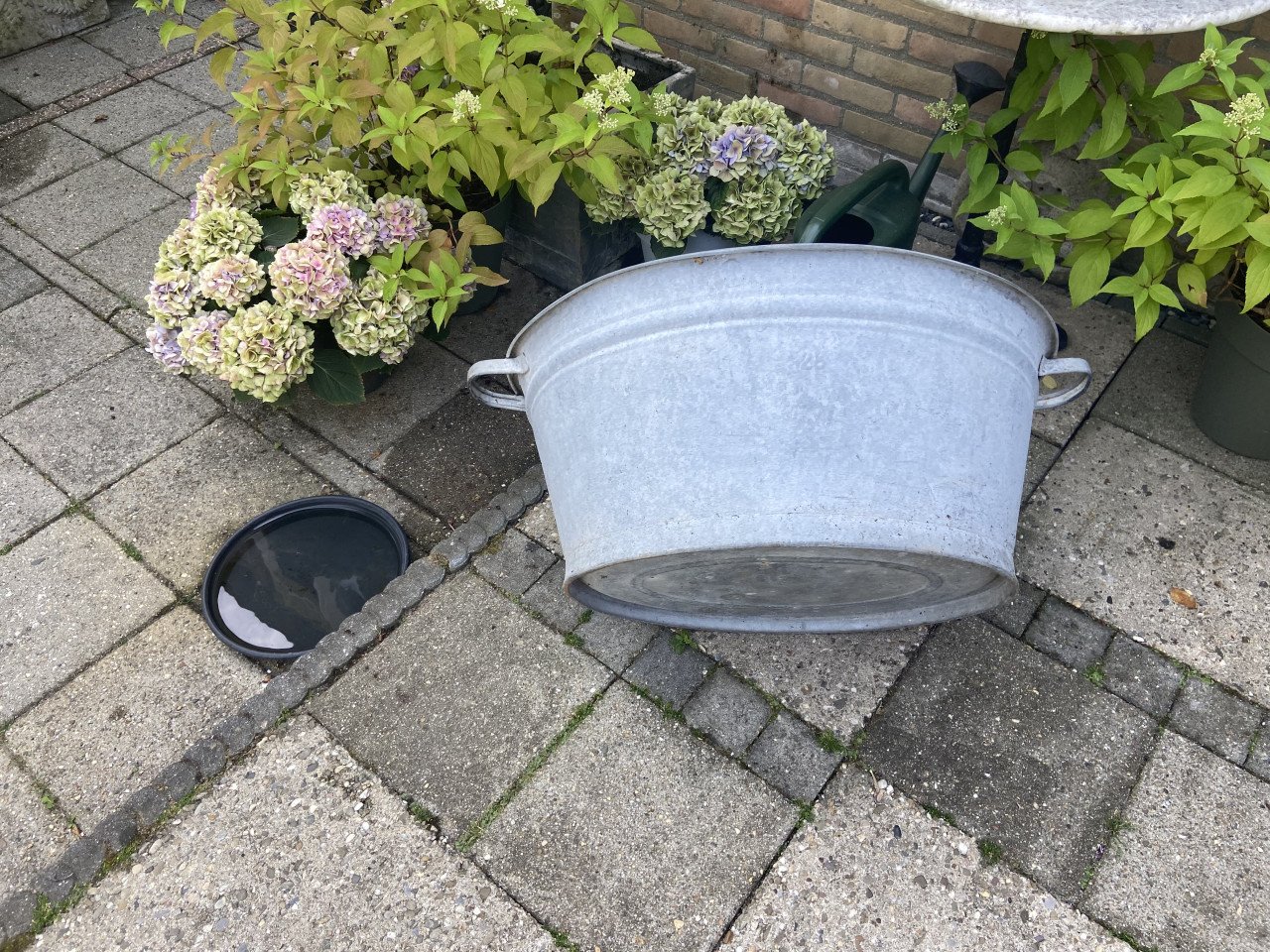Zinken teil