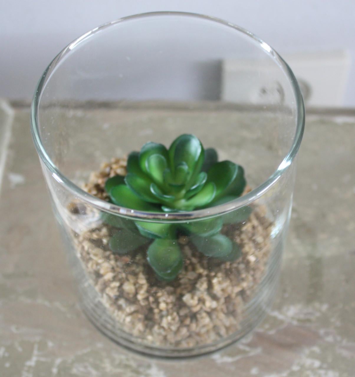 Nep plantje in glazen bloempot