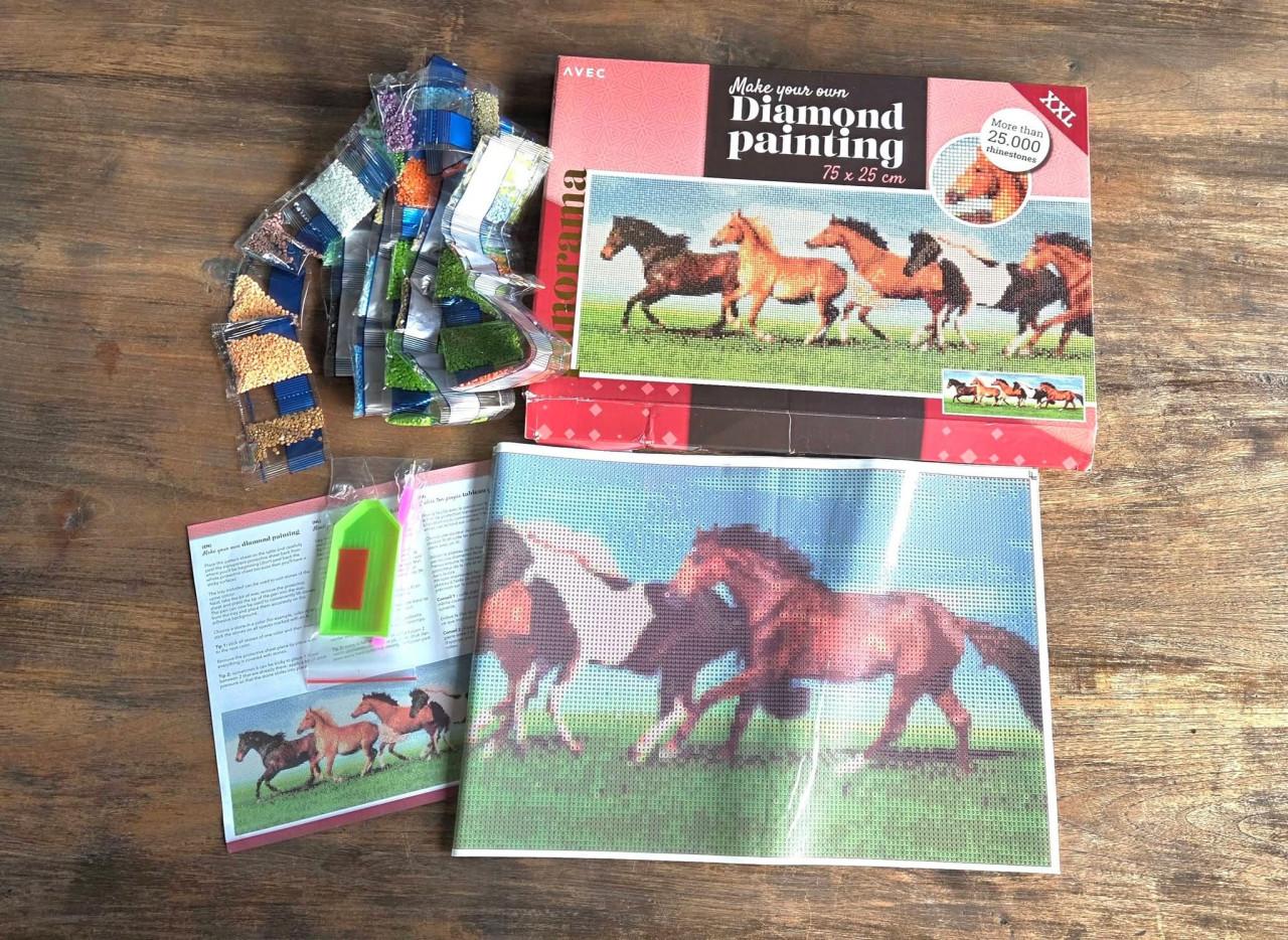 🤩 Diamond Painting XXL.