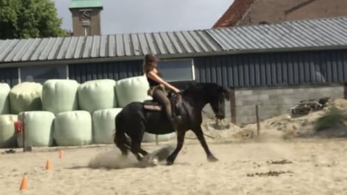 12 jarige talentvolle Merrie