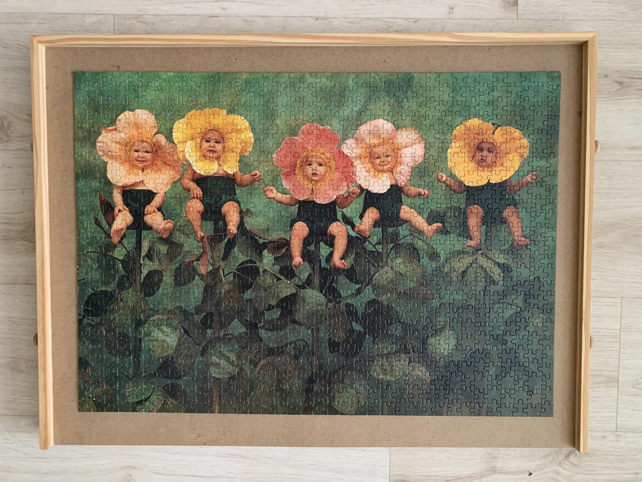 2 puzzels Anne Geddes 900 stukjes
