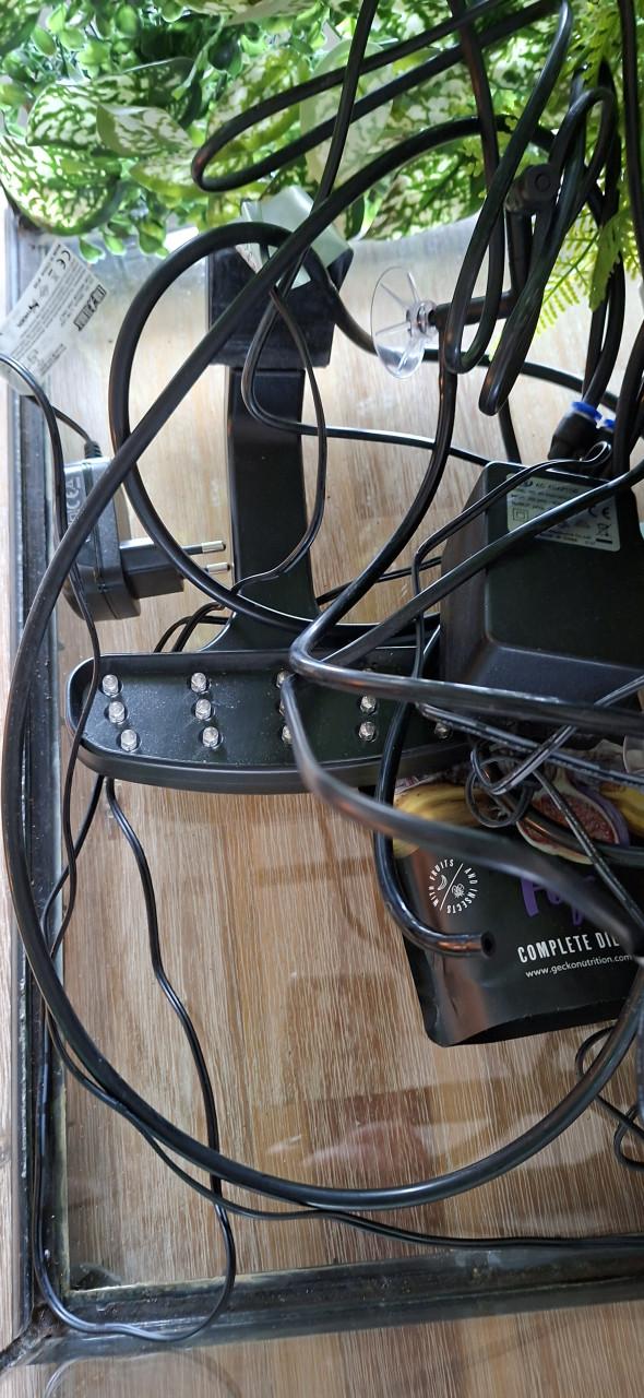 Terrarium inclusief toebehoren