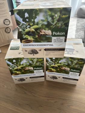 Pokon Eikenprocessiemotvallen 3 stuks