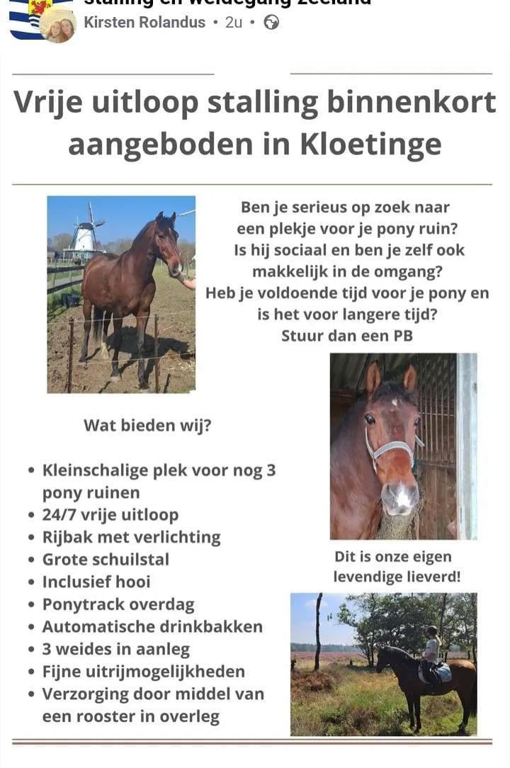 Aangeboden plekje voor een pony ruin
