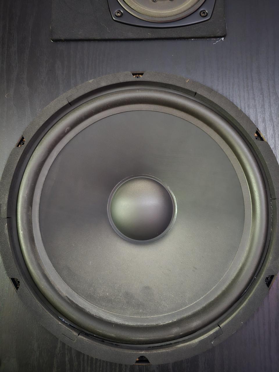Omni audio speakers