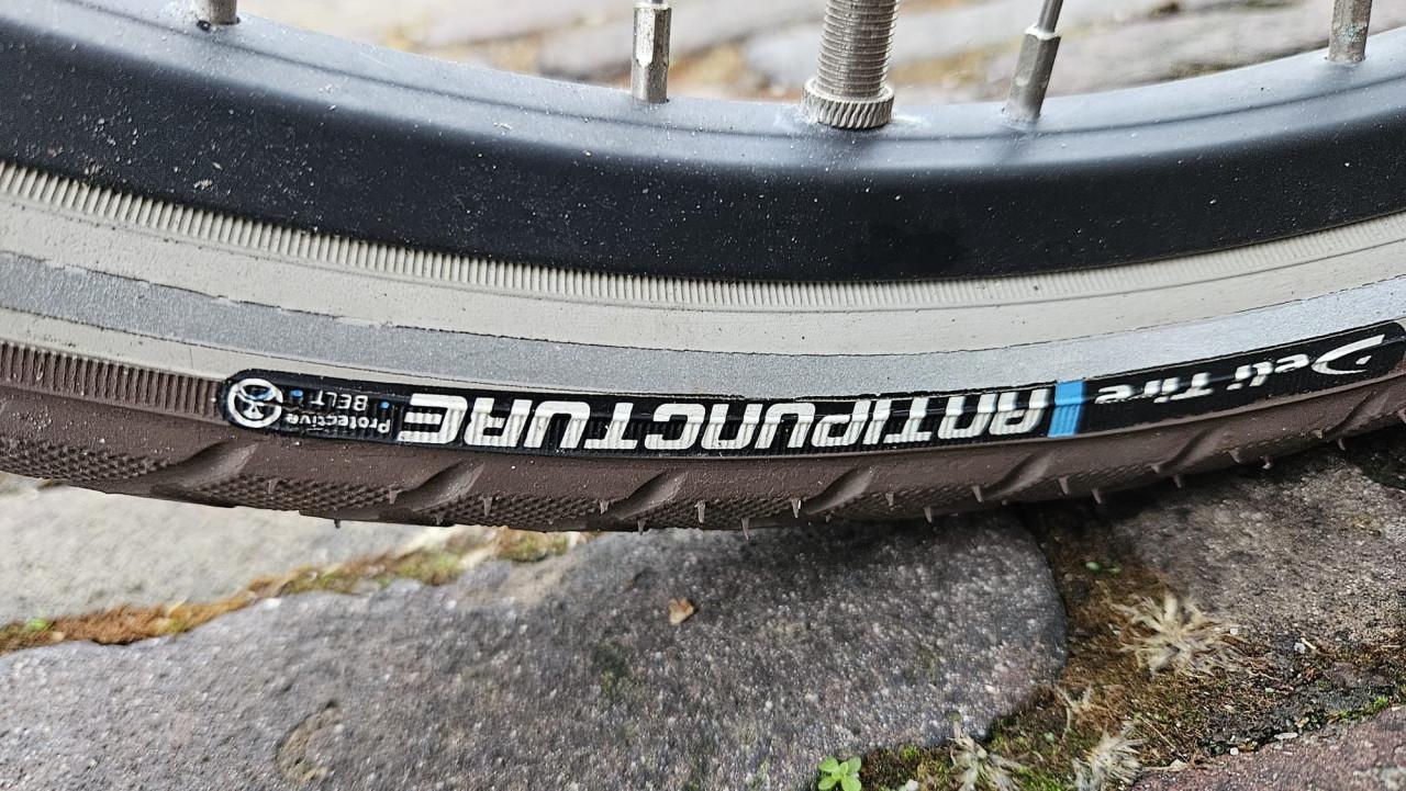 Cortina U4 meisjesfiets