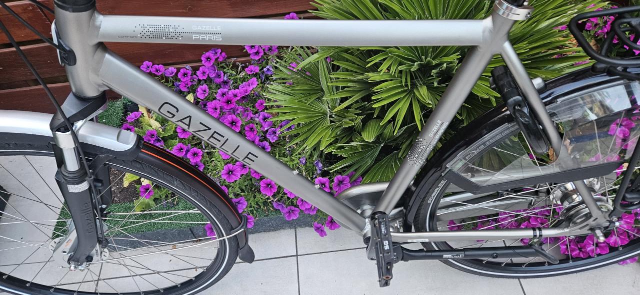 Gazelle Paris C7+ Herenfiets