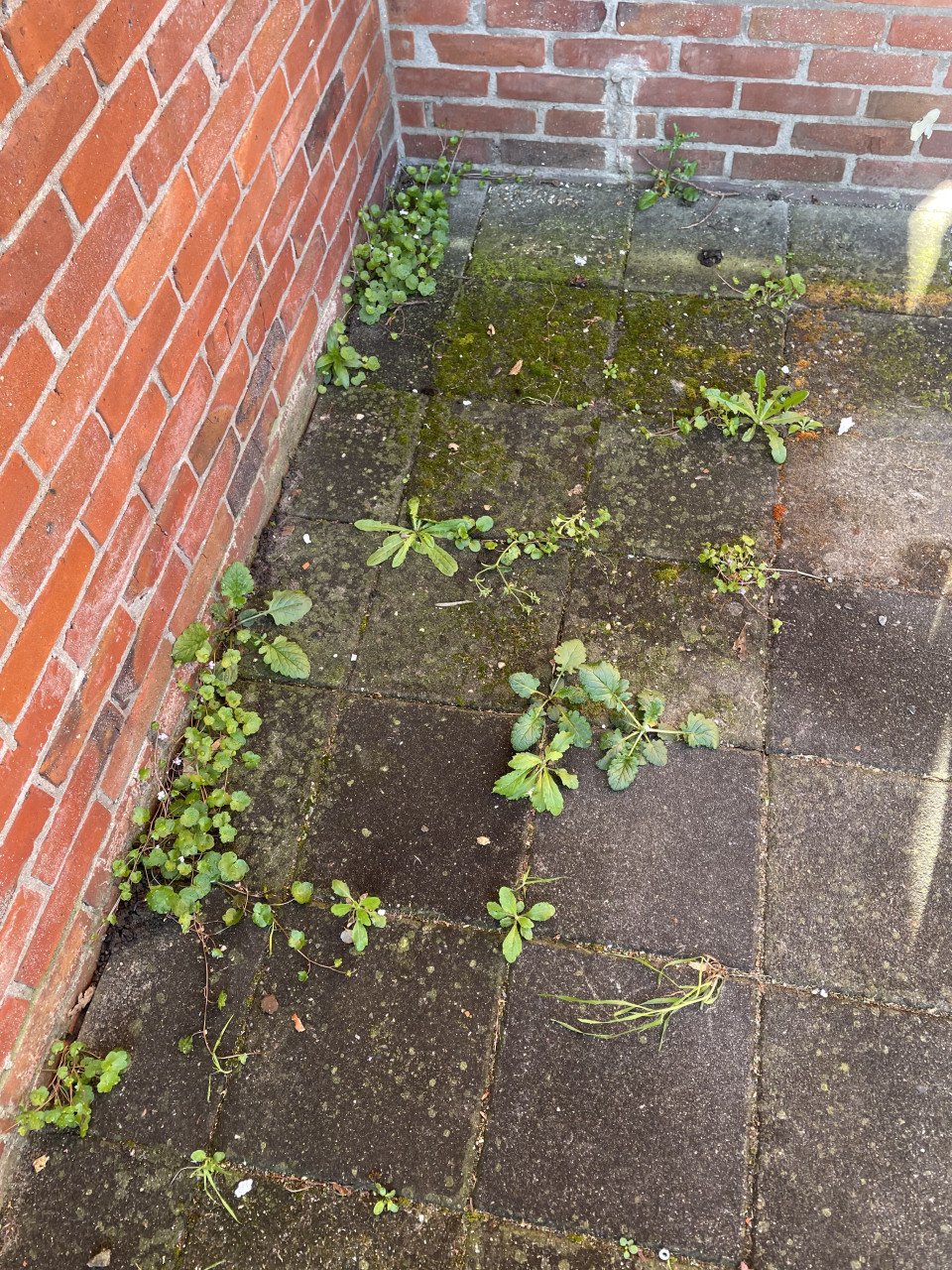Tuinonderhoud/hogedrukreiniging